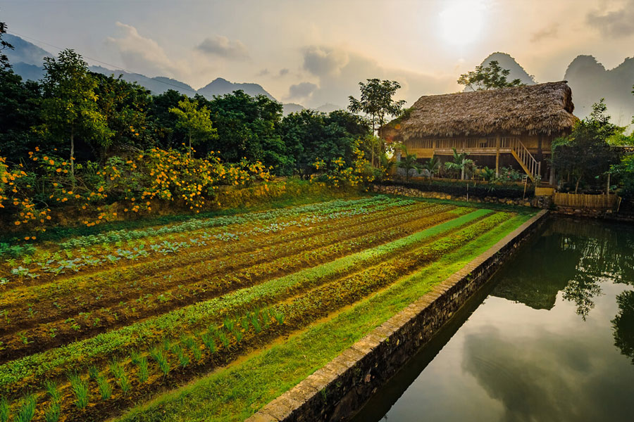 Bike Trip Hanoi Mai Chau, Ninh Binh 3 Days